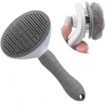 Comb with a button