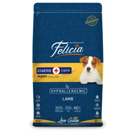 Felicia Puppy Starter with Lamb