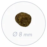 Bosch Mini Adult - Image 3