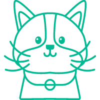 კატისთვის