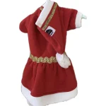 New Year's dress for Dogs