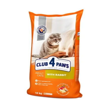 4pow კურდღლის