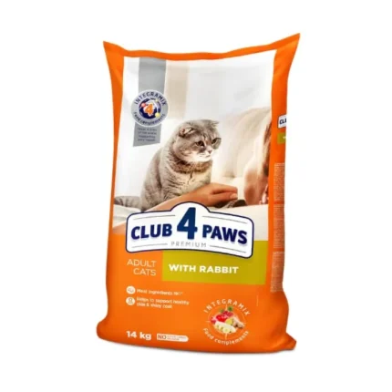 4pow კურდღლის