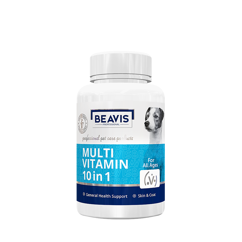 Beavis-Tablet-Middle-Vitamin-Dog
