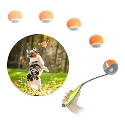 ბურთის სასროლი  XR2023 - 155