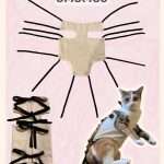 Cat pompom (postoperative)