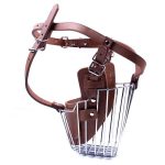 Iron and leather alicap