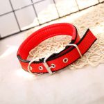 Dog collar made of cloth