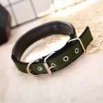 Dog collar made of cloth
