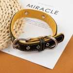 Zolux collar for dogs