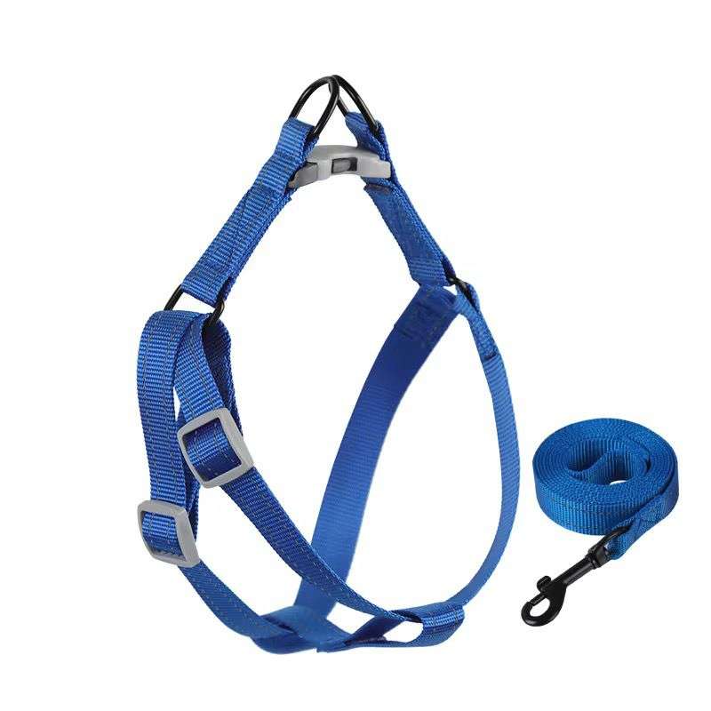 00851-E183A1E18390E1839BE18399E18394E183A0E18393E18394-E183A1E18390E183A2E18390E183A0E18394E18391E1839AE18398E18397-zichen1