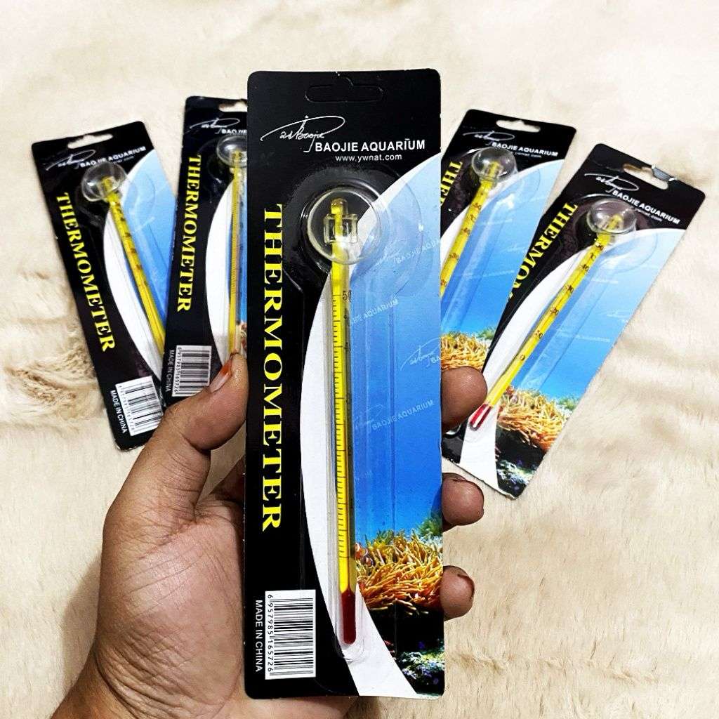 1034-E18397E18394E183A0E1839BE1839DE1839BE18394E183A2E183A0E18398-T02