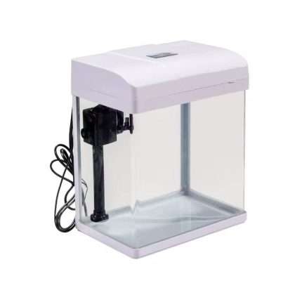 აკვარიუმი