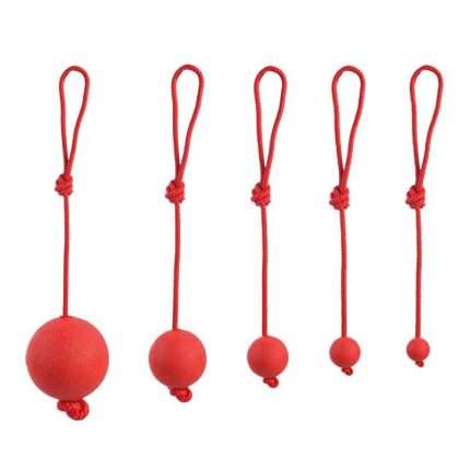 სათამაშო ძაღლის